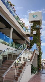 GC-CC Market Puerto Rico 2026-42.jpg